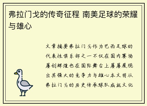 弗拉门戈的传奇征程 南美足球的荣耀与雄心