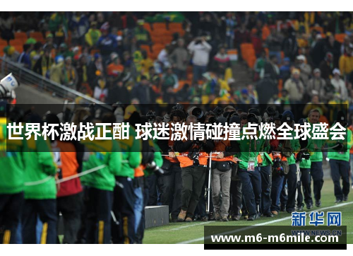世界杯激战正酣 球迷激情碰撞点燃全球盛会