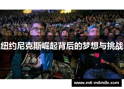 纽约尼克斯崛起背后的梦想与挑战